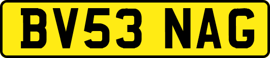 BV53NAG