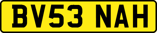 BV53NAH
