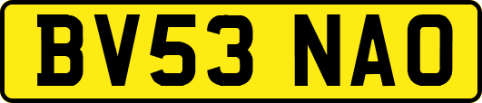 BV53NAO