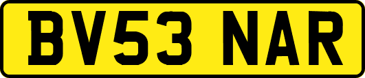 BV53NAR