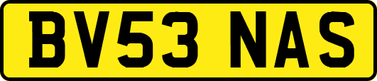 BV53NAS