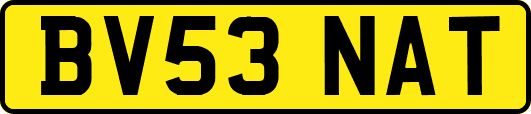 BV53NAT