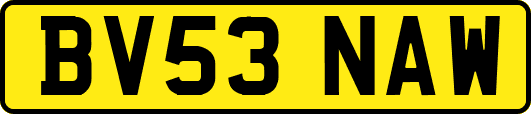 BV53NAW