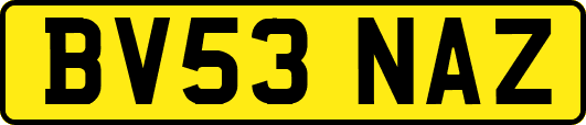 BV53NAZ