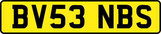 BV53NBS