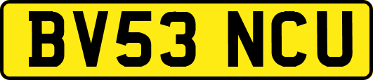 BV53NCU