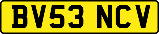 BV53NCV