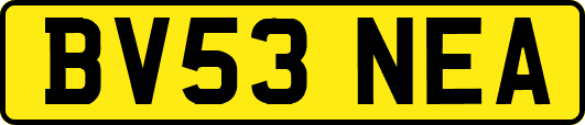 BV53NEA