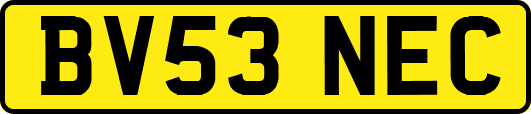 BV53NEC