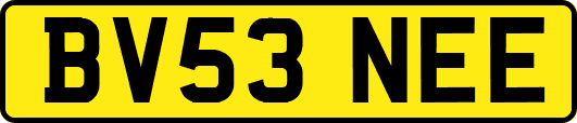 BV53NEE
