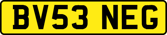 BV53NEG