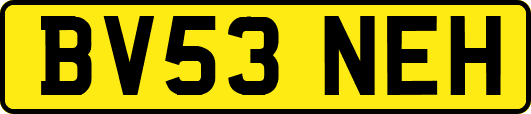 BV53NEH