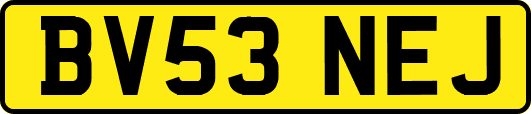 BV53NEJ