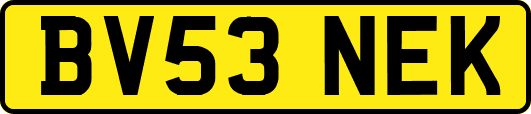 BV53NEK