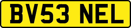 BV53NEL
