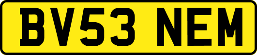 BV53NEM