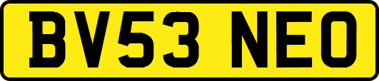 BV53NEO