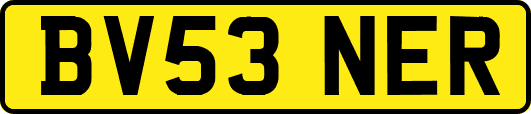 BV53NER