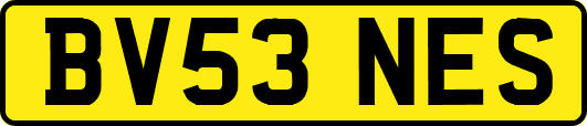 BV53NES