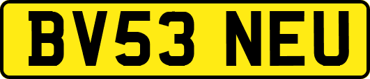 BV53NEU