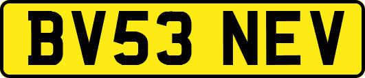 BV53NEV