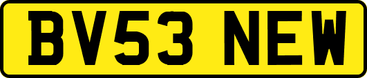 BV53NEW
