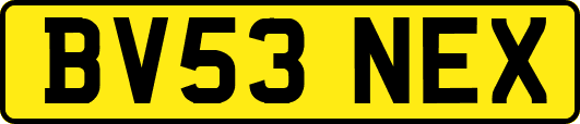 BV53NEX