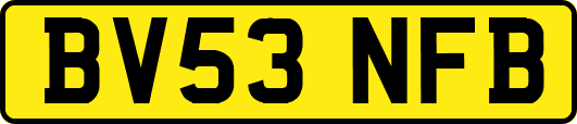 BV53NFB
