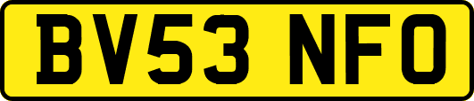 BV53NFO