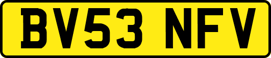 BV53NFV