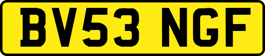 BV53NGF