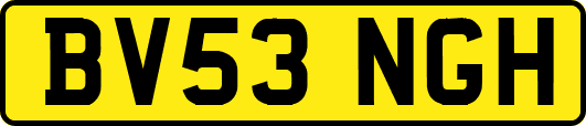 BV53NGH