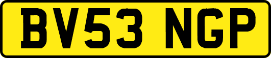 BV53NGP