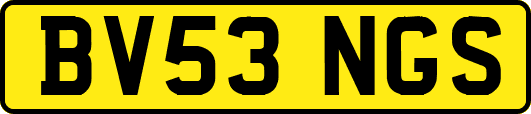 BV53NGS