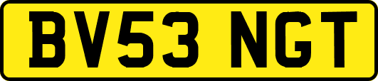BV53NGT