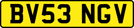 BV53NGV
