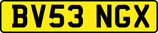 BV53NGX