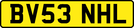 BV53NHL