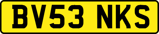BV53NKS