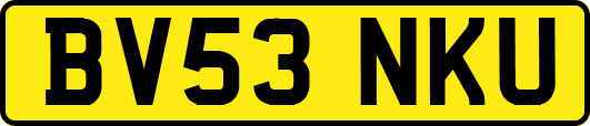 BV53NKU
