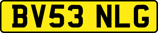 BV53NLG