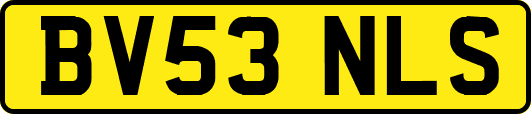BV53NLS