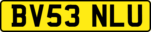 BV53NLU