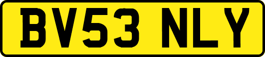 BV53NLY