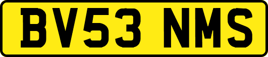 BV53NMS