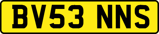 BV53NNS