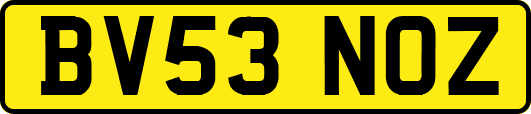 BV53NOZ