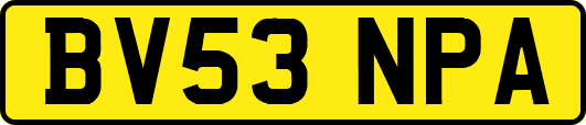 BV53NPA