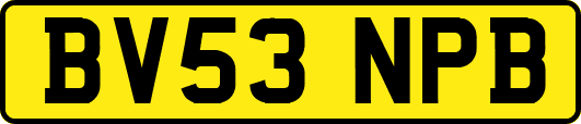 BV53NPB