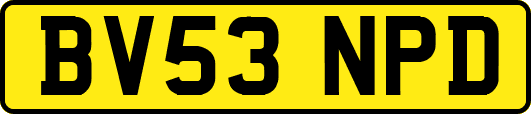 BV53NPD